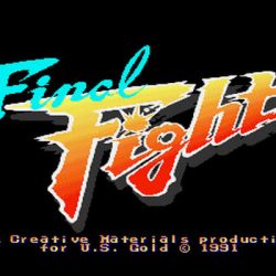 Final Fight Free Download