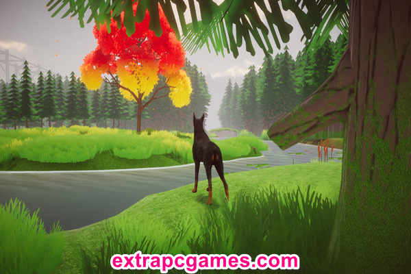 Django PC Game Download