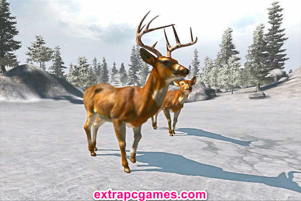 Cabela's Trophy Bucks Repack PC Game Download